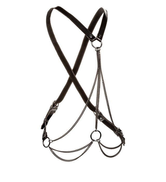 EUPHORIA MULTI CHAIN HARNESS