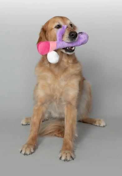 SCRUFFY BUNNY VANDERPUMP DOG TOY