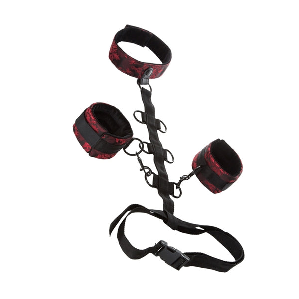 SCANDAL COLLAR BODY RESTRAINTS