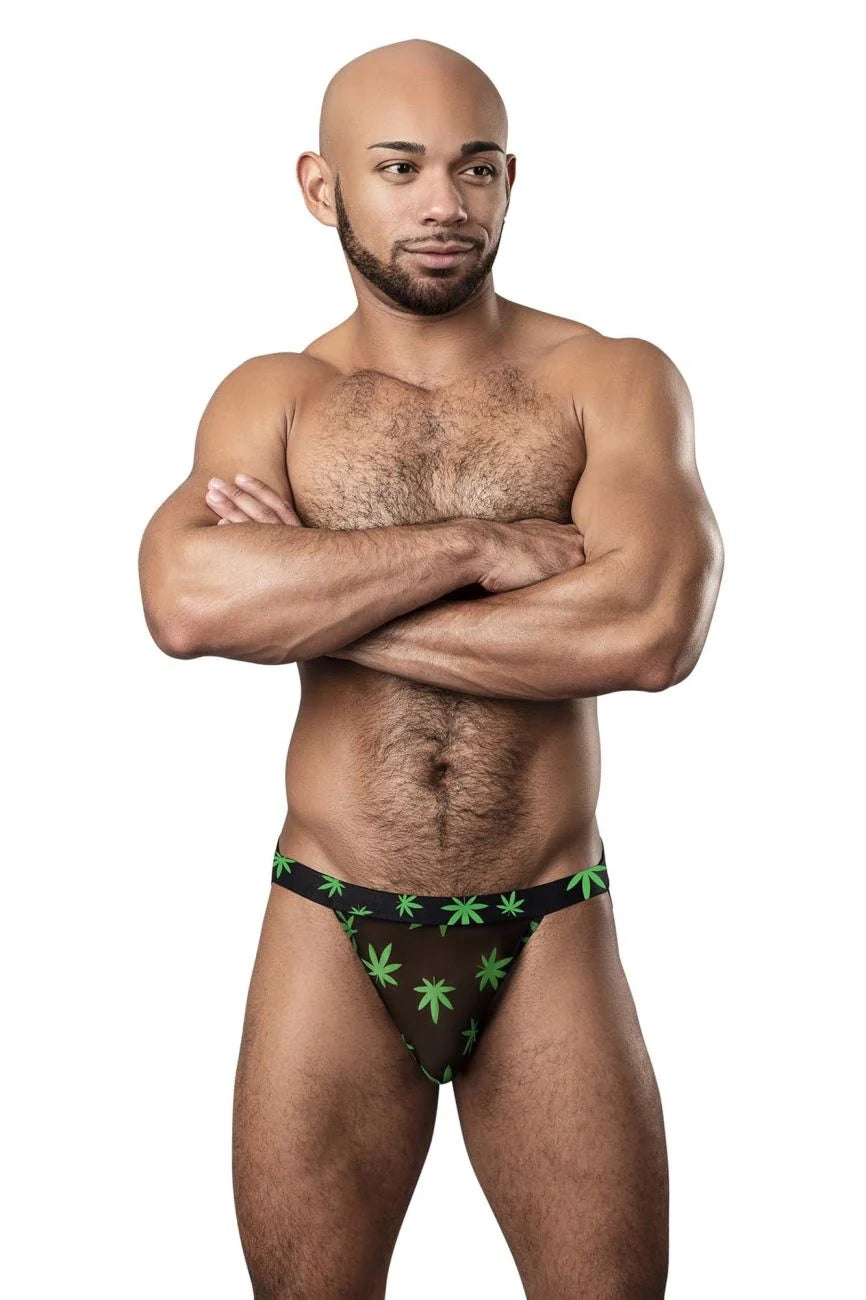 HAZY DAYZ JOCK POTLEAF S/M