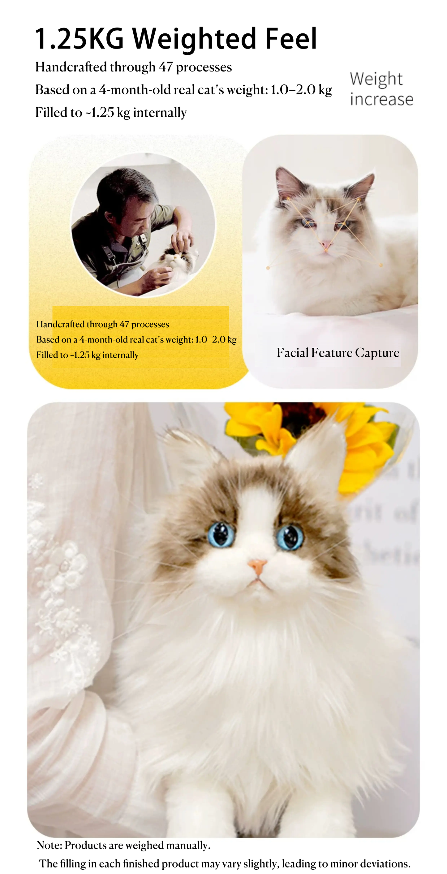 MarsWalker Realistic Ragdoll Cat Plush Toy - 1.25kg Weighted Lifelike Stuffed Animal with "Liquid Cat" Soft Feel, Starry Sky Eyes, Silicone Paw Pads &amp; Complete Gift Box Set