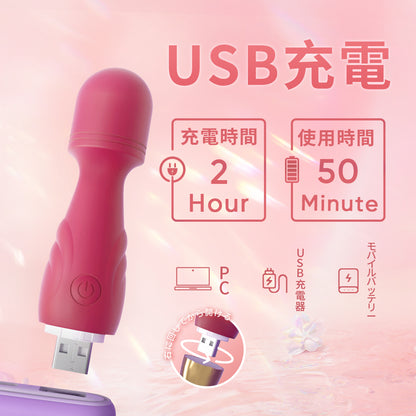 USB小寵ミニ電マ