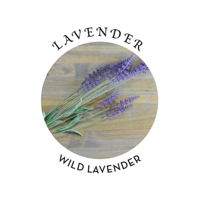 RELAXING MASSAGE & BODY OIL LAVENDER 8 OZ
