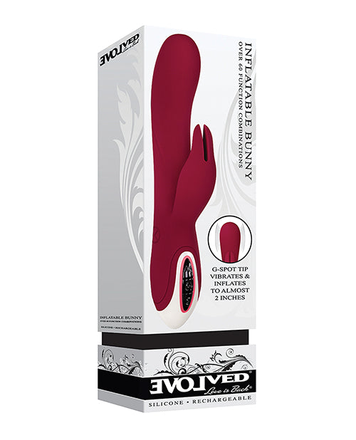 EVOLVED INFLATABLE BUNNY
