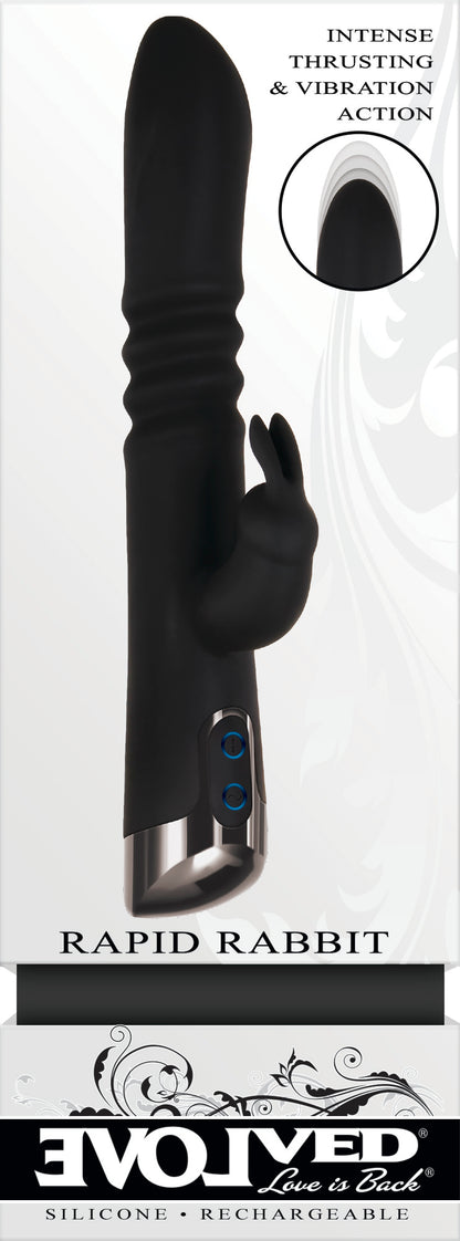 EVOLVED RAPID RABBIT