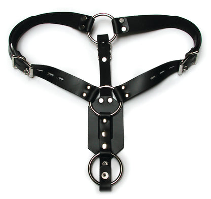 BUTT PLUG HARNESS W/COCK RING