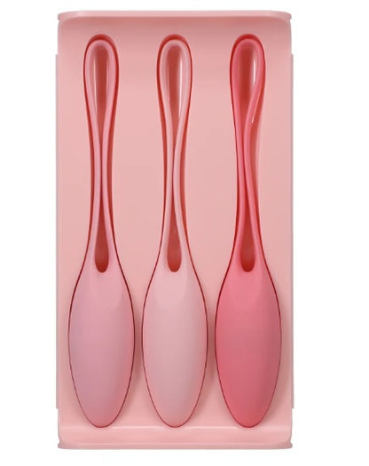 IN A BAG KEGAL TRAINER SET PINK