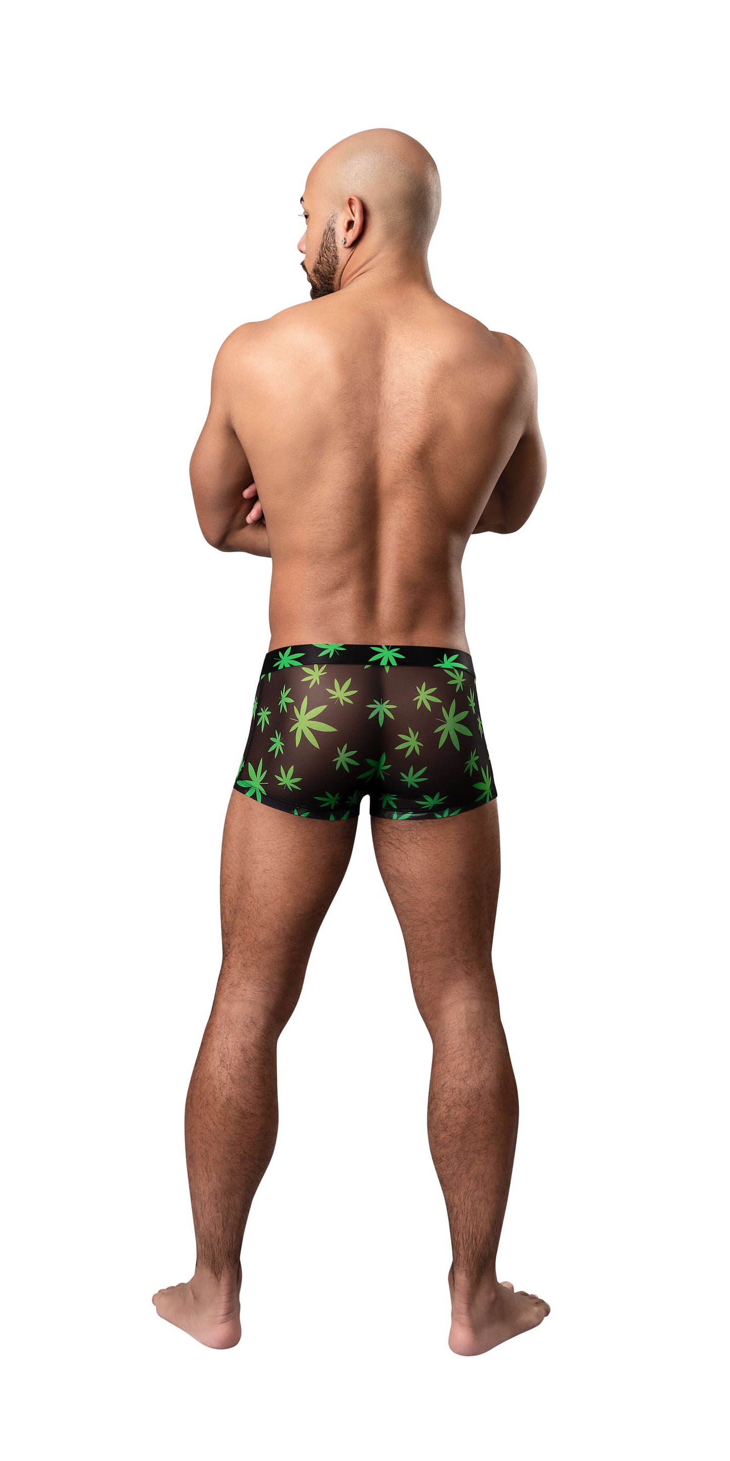 HAZY DAYZ POUCH SHORT POTLEAF SMALL
