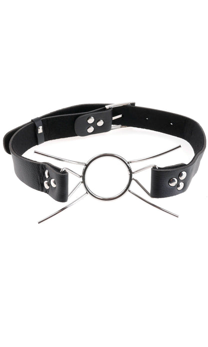 FETISH FANTASY EXTREME SPIDER GAG