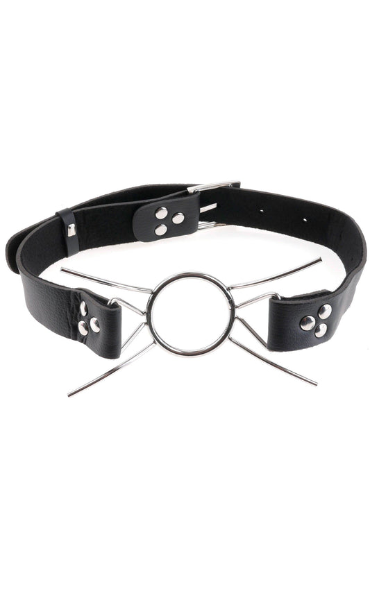 FETISH FANTASY EXTREME SPIDER GAG