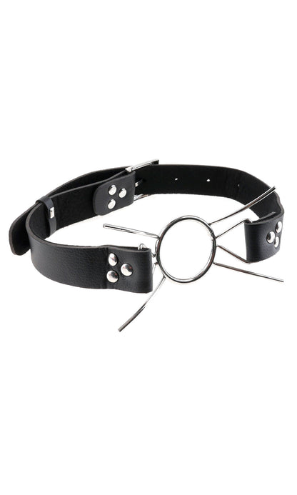 FETISH FANTASY EXTREME SPIDER GAG