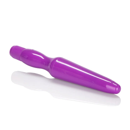 FUJIKO WP ANAL PROBE PURPLE