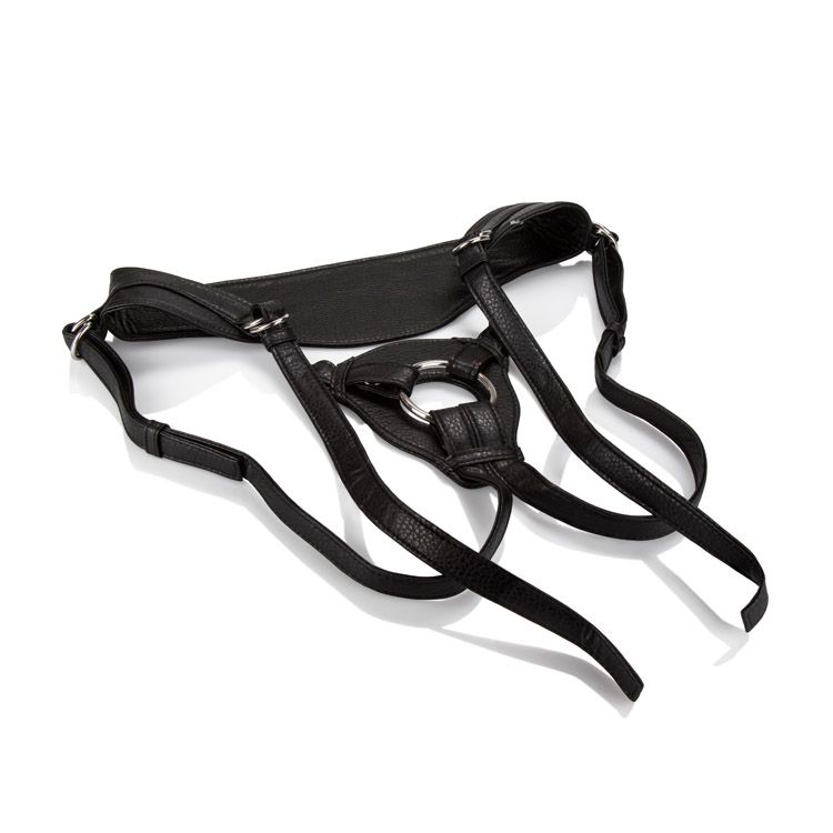 HER ROYAL HARNESS QUEEN (BULK)