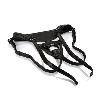 HER ROYAL HARNESS QUEEN (BULK)