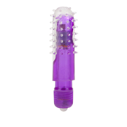 TRAVEL BLASTER PURPLE W/P