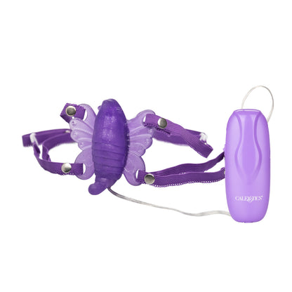 VENUS BUTTERFLY II-PURPLE