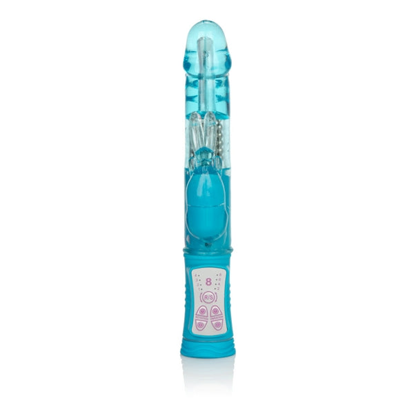 SHANES WORLD JACK RABBIT BLUE