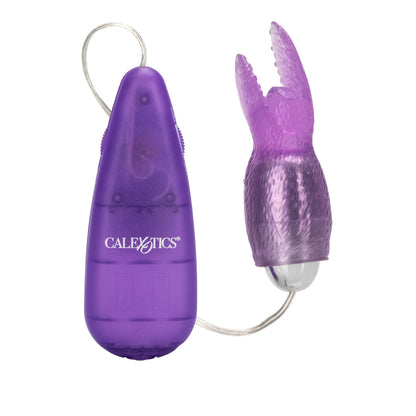 HI INTENSITY SNOW BUNNY PURPLE