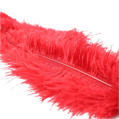 OSTRICH FEATHER RED