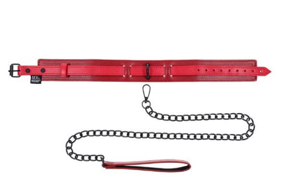 EX'S & OH'S COLLAR & LEASH