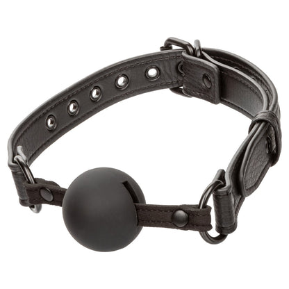 NOCTURNAL BALLGAG