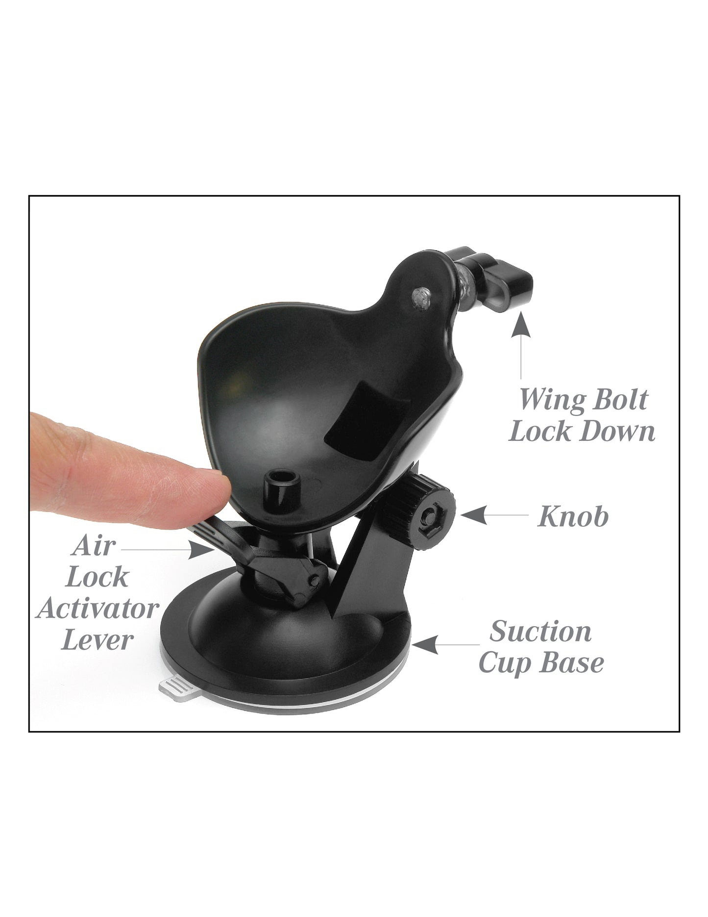 PDX EXTREME MEGA BATOR ASS BLACK/CLEAR